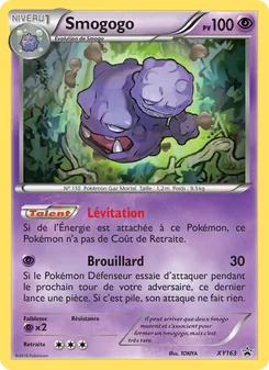 Carte Smogogo de l'extension Promo XY, numéro XY163/211
