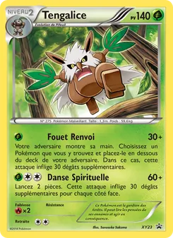 Carte Tengalice de l'extension Promo XY, numéro XY23/211