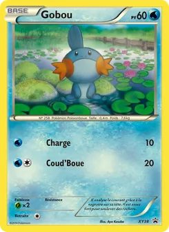 Carte Gobou de l'extension Promo XY, numéro XY38/211