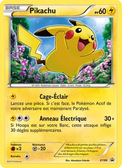 Carte Pikachu de l'extension Promo XY, numéro XY89/211