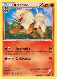 Carta Arcanine dell'espansione Destini Futuri, numero 13/99