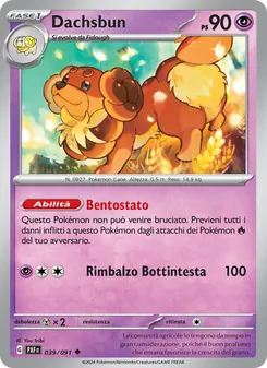 Carta Dachsbun dell'espansione Destino di Paldea, numero 039/91