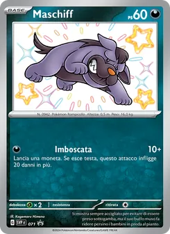Carta Maschiff dell'espansione SVP Black Star Promos, numero 071/225