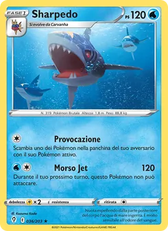 Carta Sharpedo dell'espansione Evoluzioni Eteree, numero 36/203