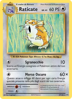Carta Raticate dell'espansione Evoluzioni, numero 67/108