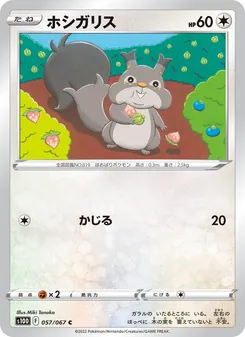 Kartu 貪心栗鼠 dari Time Gazer, nomor 057/67