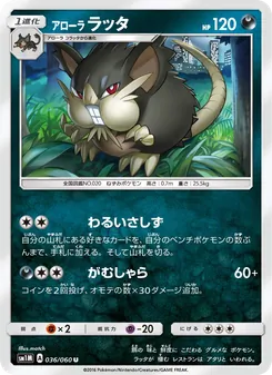 Kartu Alolan Raticate dari コレクションムーン, nomor 036/60