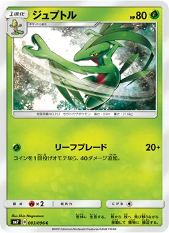 Kartu Grovyle dari 裂空のカリスマ, nomor 003/96