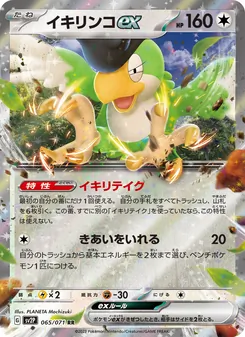 Kaart Squawkabilly ex uit Snow Hazard, nummer 065/71